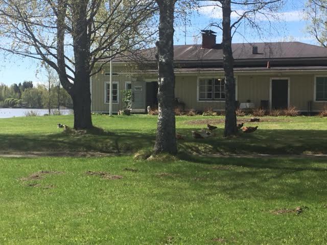 Lomatila Ollila Farm Stay Kerimäki Kültér fotó