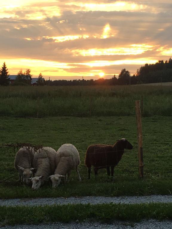 Lomatila Ollila Farm Stay Kerimäki Kültér fotó