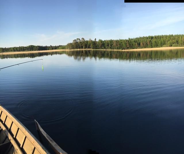 Lomatila Ollila Farm Stay Kerimäki Kültér fotó