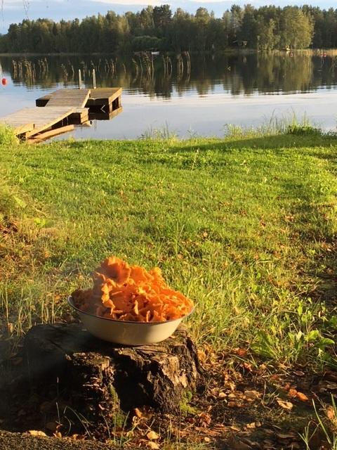 Lomatila Ollila Farm Stay Kerimäki Kültér fotó